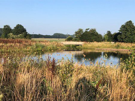 Een natuurbegraafplaats in Park21