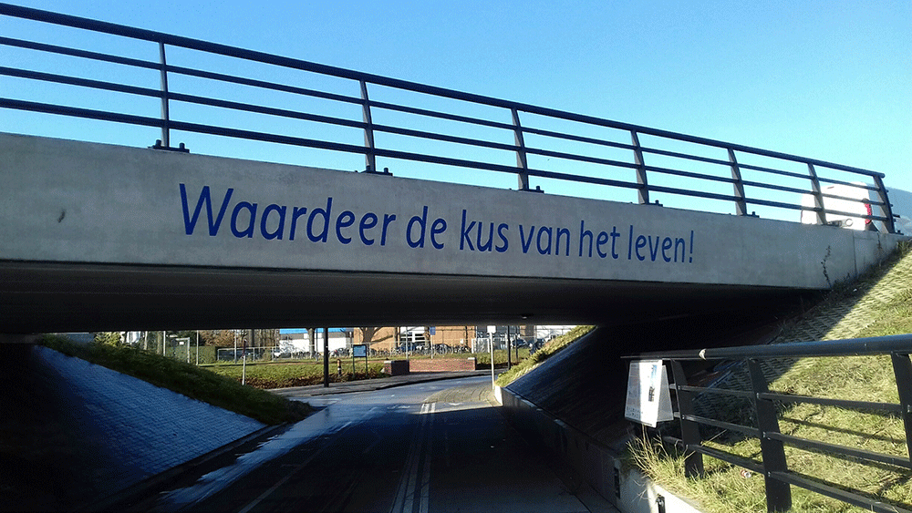 Waardeer de kus van het leven!