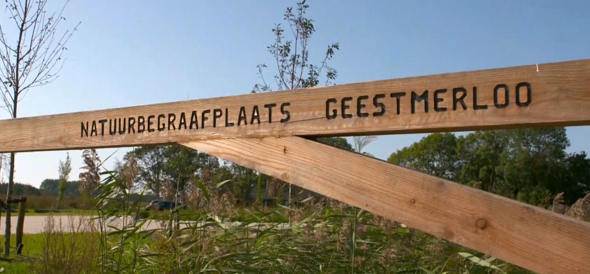 In Business Class over natuurbegraven