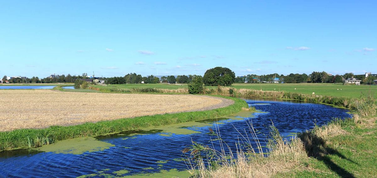 Lezing natuurbegraafplaats
