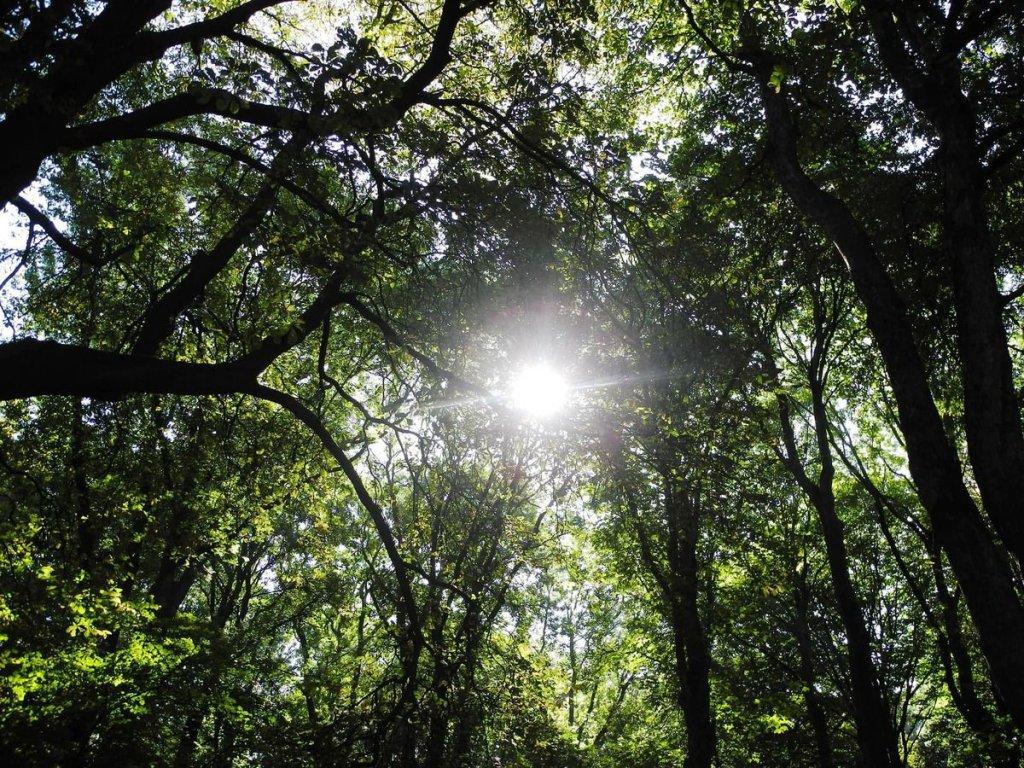 Natuurbegraafplaats Geestmerloo