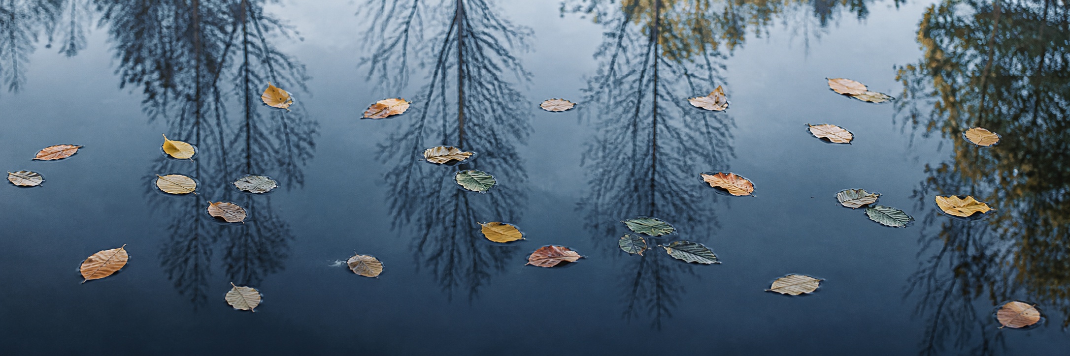 Reflectie Dunweg