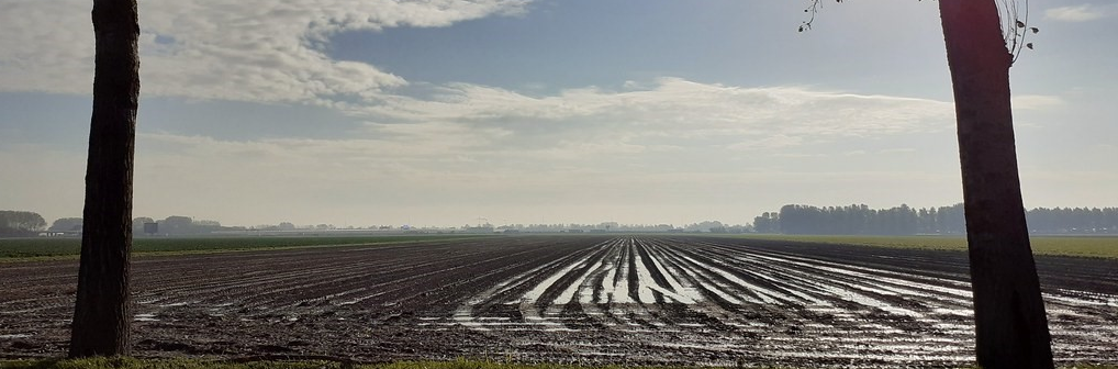 De eerste keer