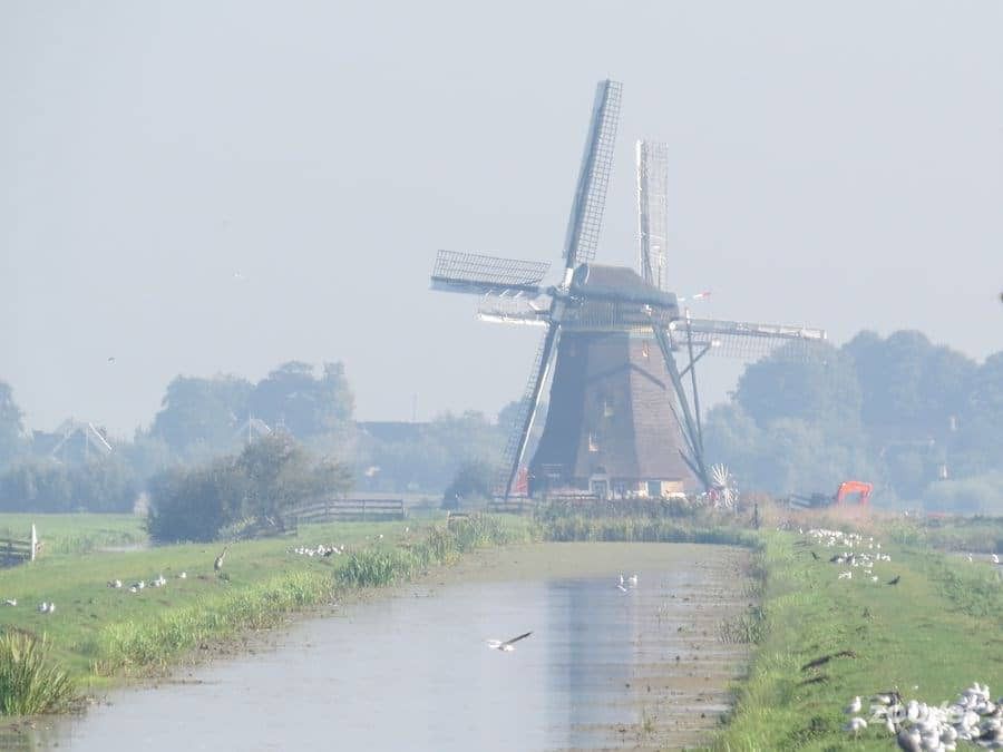 Het dorp