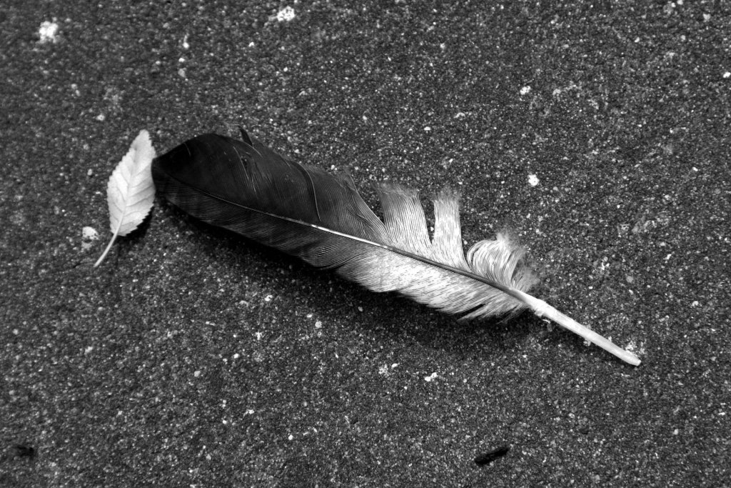 Als de wind