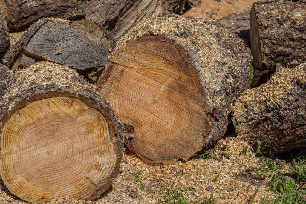 In een hart van hout