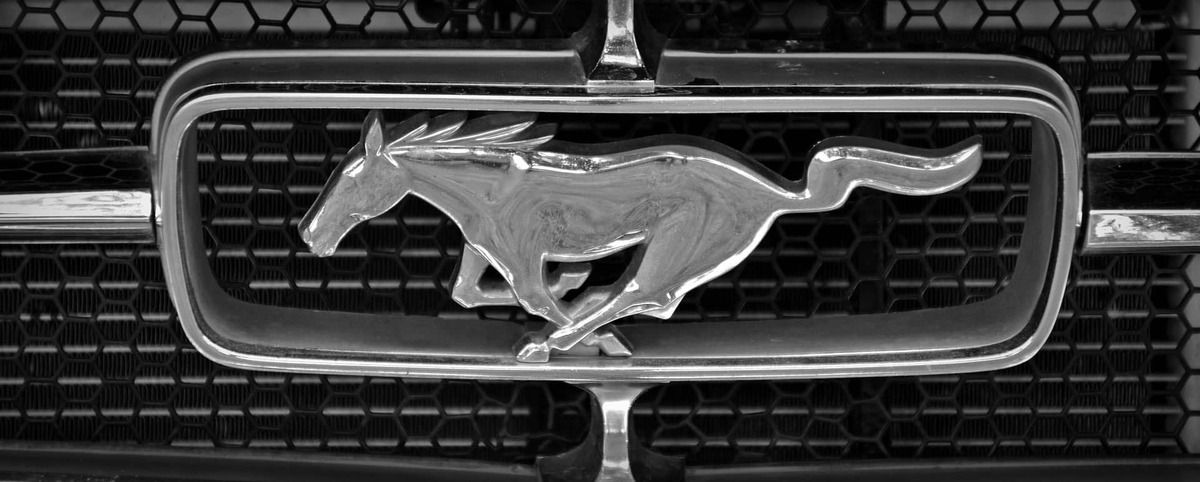Meneer Paul en de Mustangs