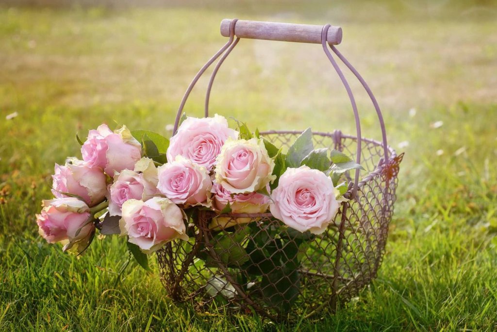 Soort van datingsite…